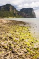 Lord Howe Island_20061207_028